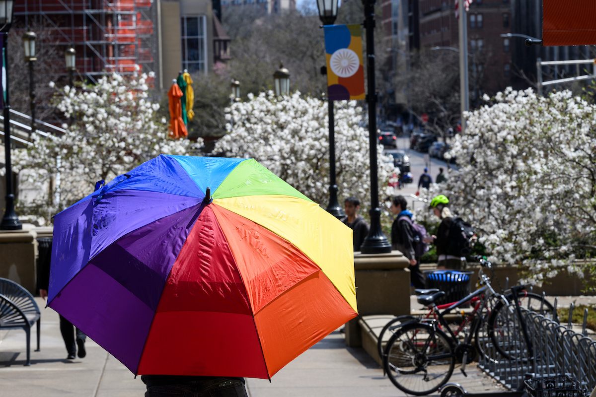 A rainbow umbrella surrounded by blooming spring trees.